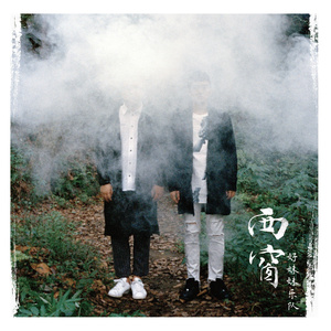 国产精品片在线观看无码
