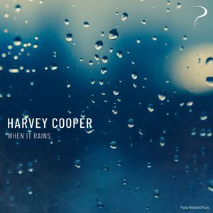 国产精品片在线观看无码
