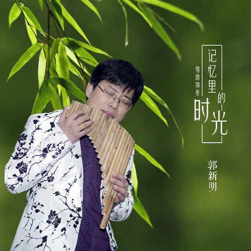 国产精品片在线观看无码
